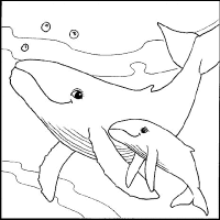 A coloring page of sea animal